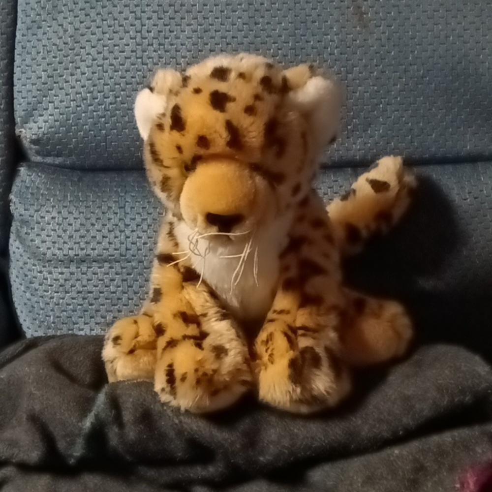 Stuffed animal